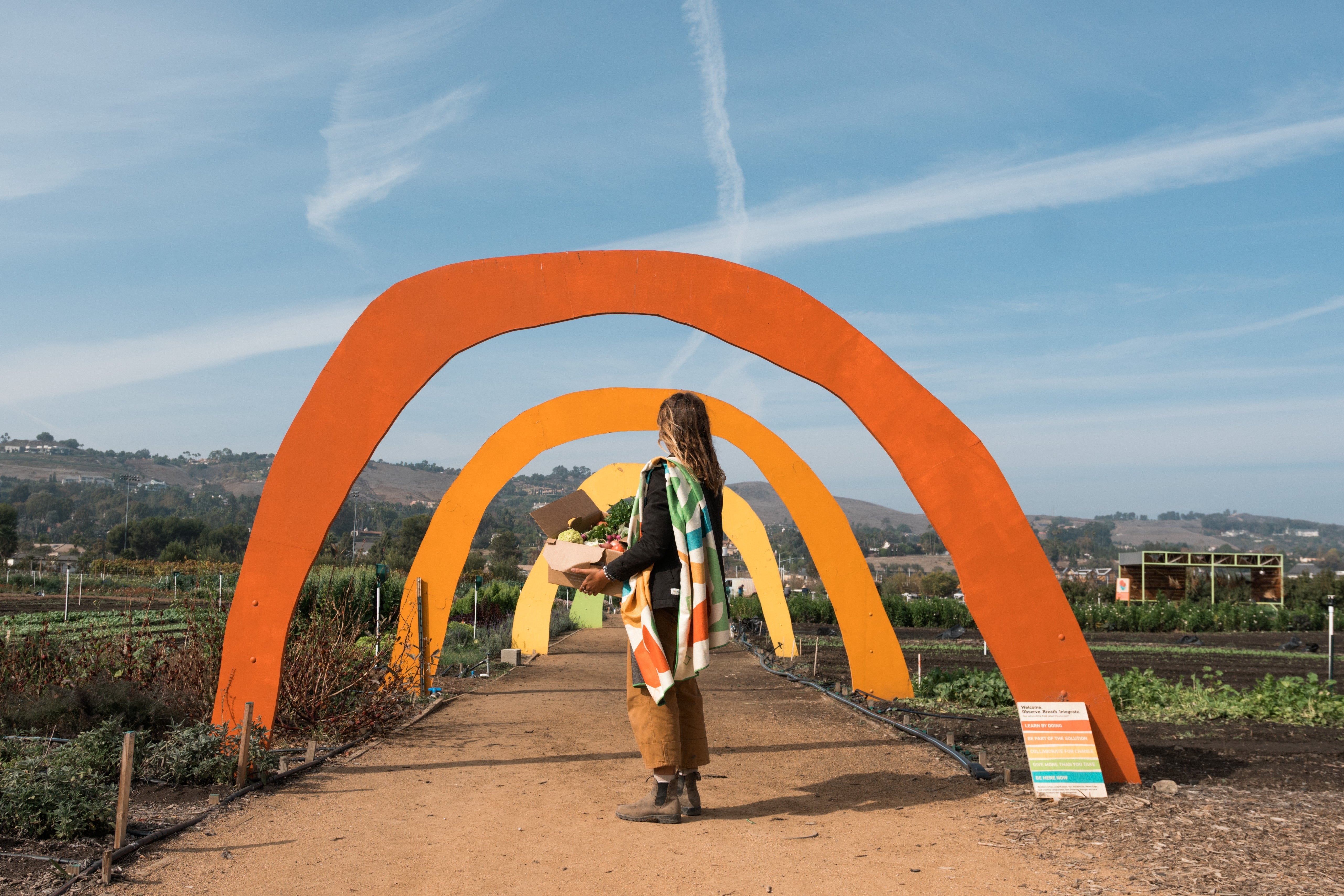 Person carrying a box of produce through colorful arches at a community farm