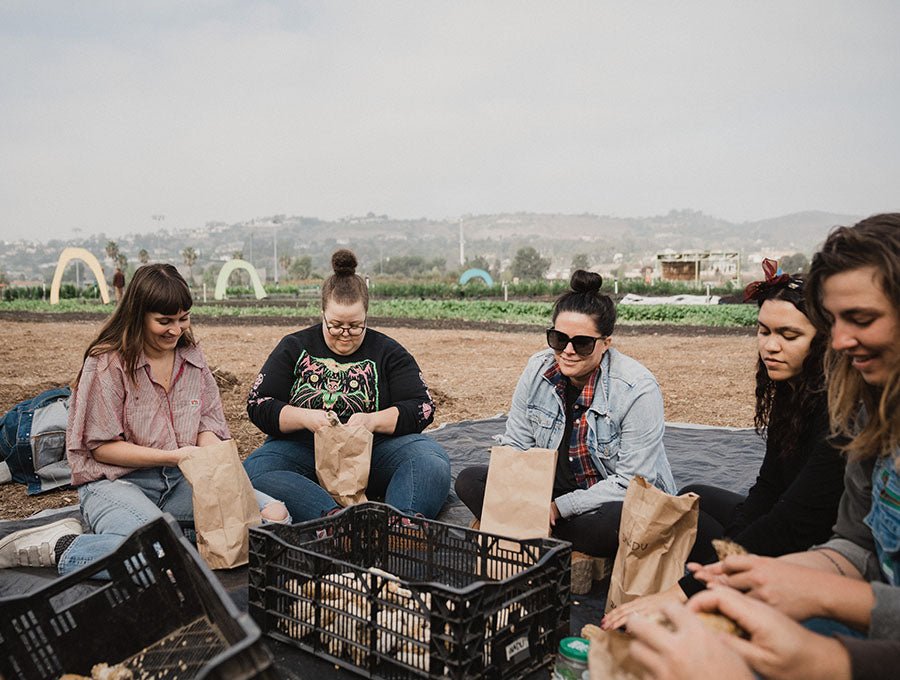 Five people sit together with paper bags and produce crates in an outdoor field