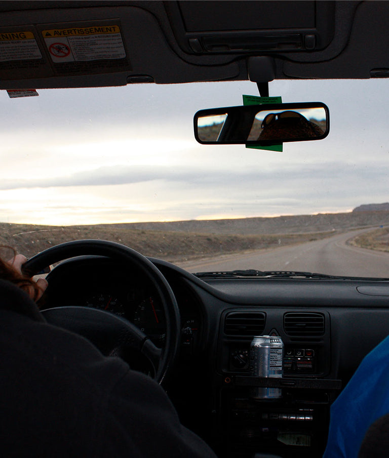 Two people in a car on a road trip through a desert lanscape.