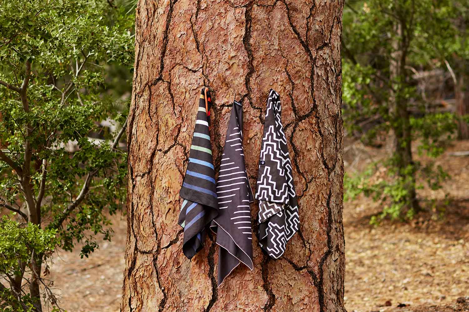 wholesale – Nomadix