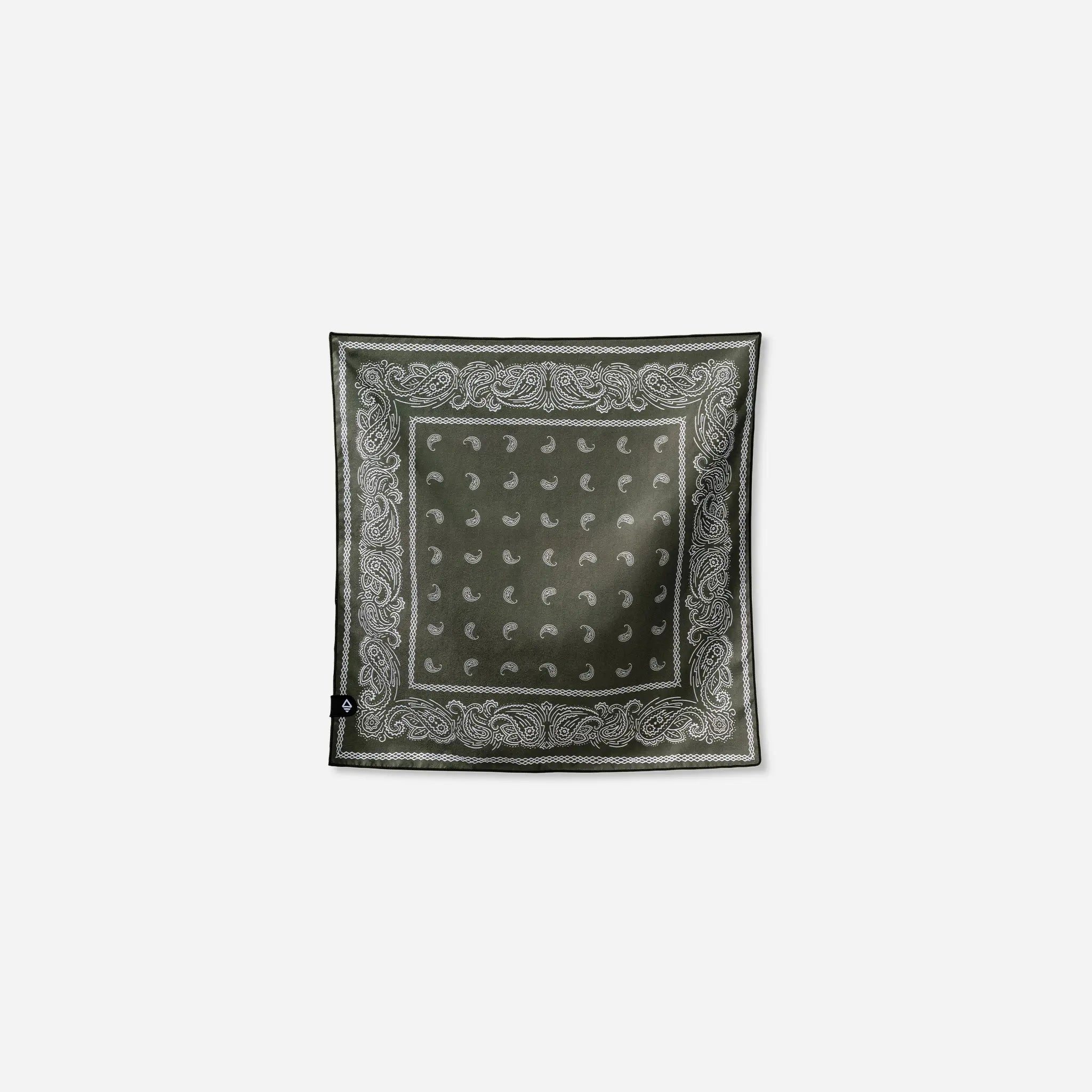 Bandana Towel: Paisley Forest Green – Nomadix