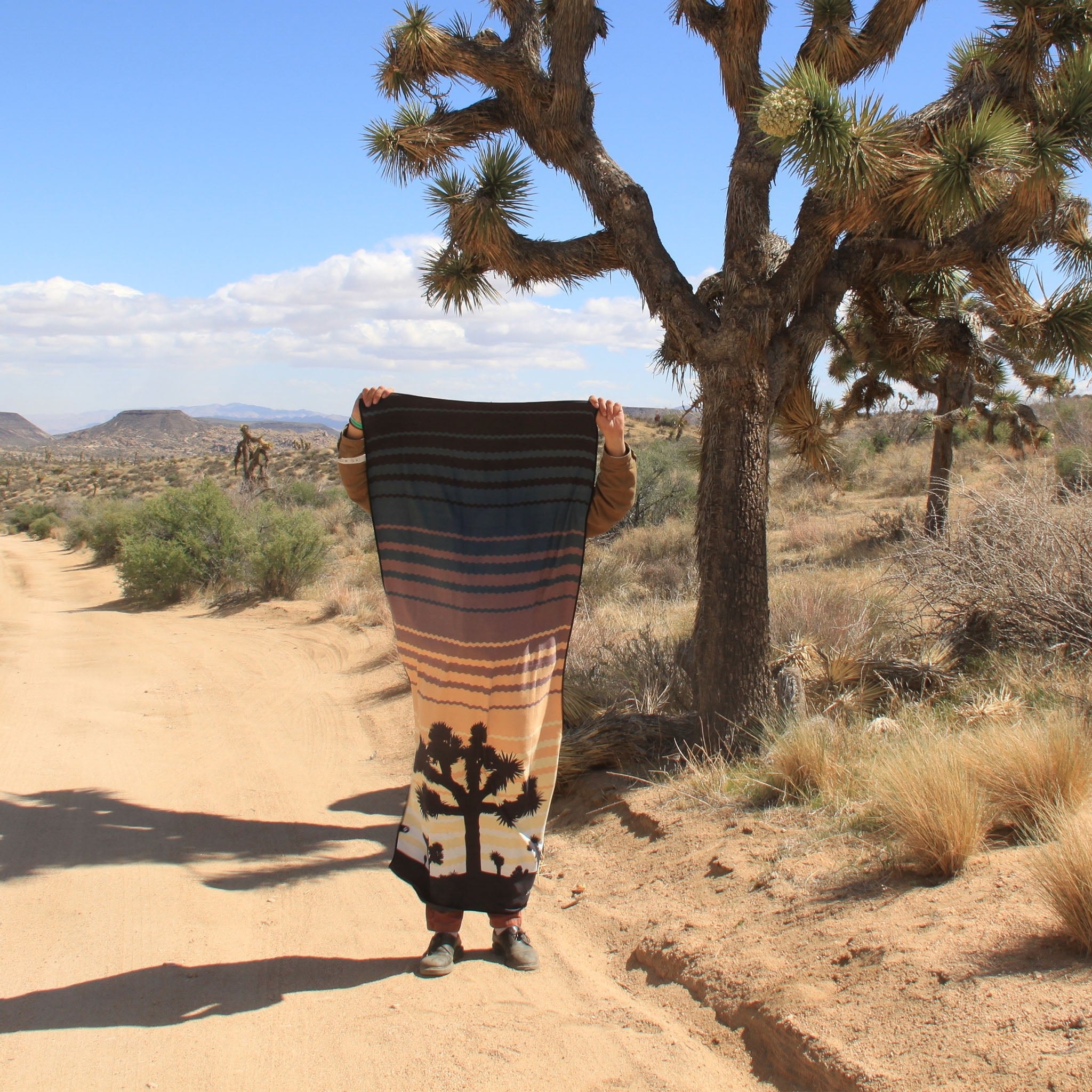 Original Towel: Joshua Tree National Park - Nomadix