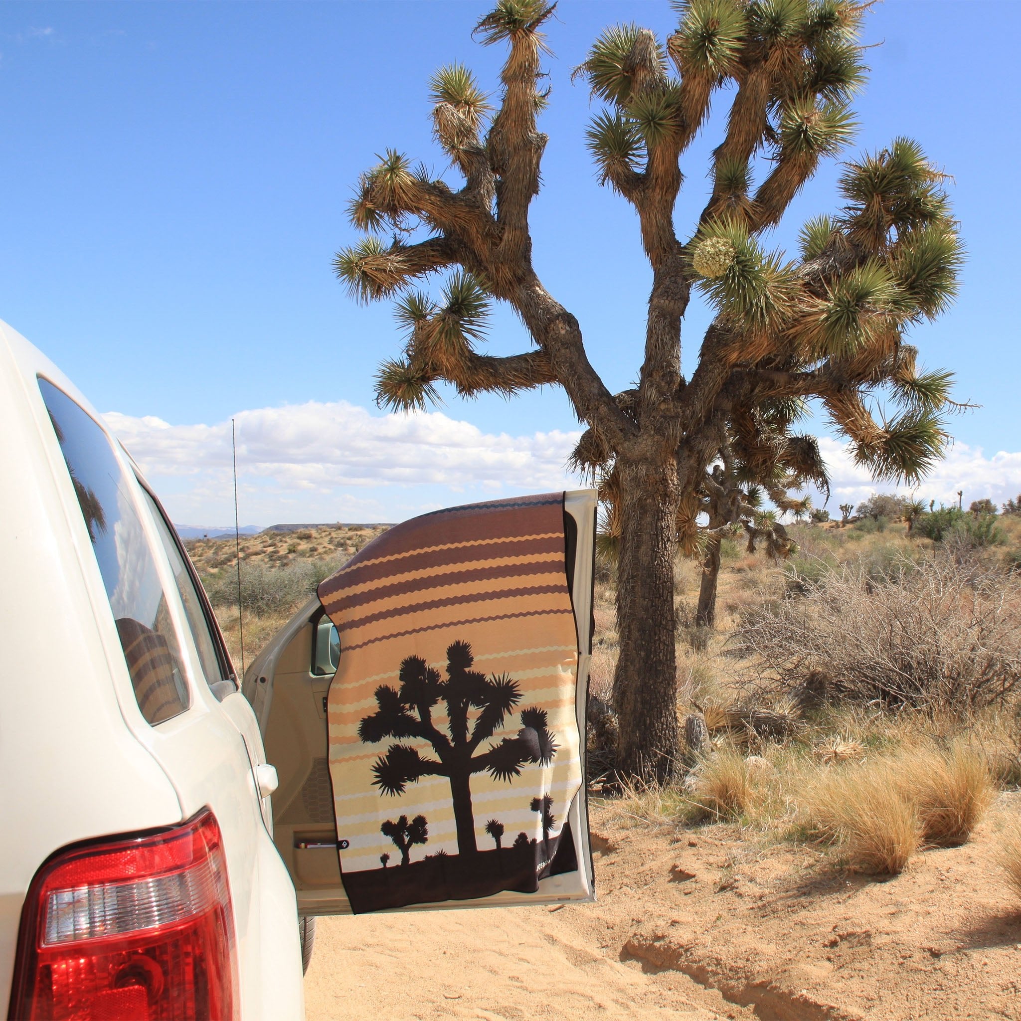 Original Towel: Joshua Tree National Park - Nomadix